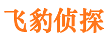 南汇寻人公司